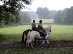 Amsterdamse Bos (Amsterdam Wood), horse riding